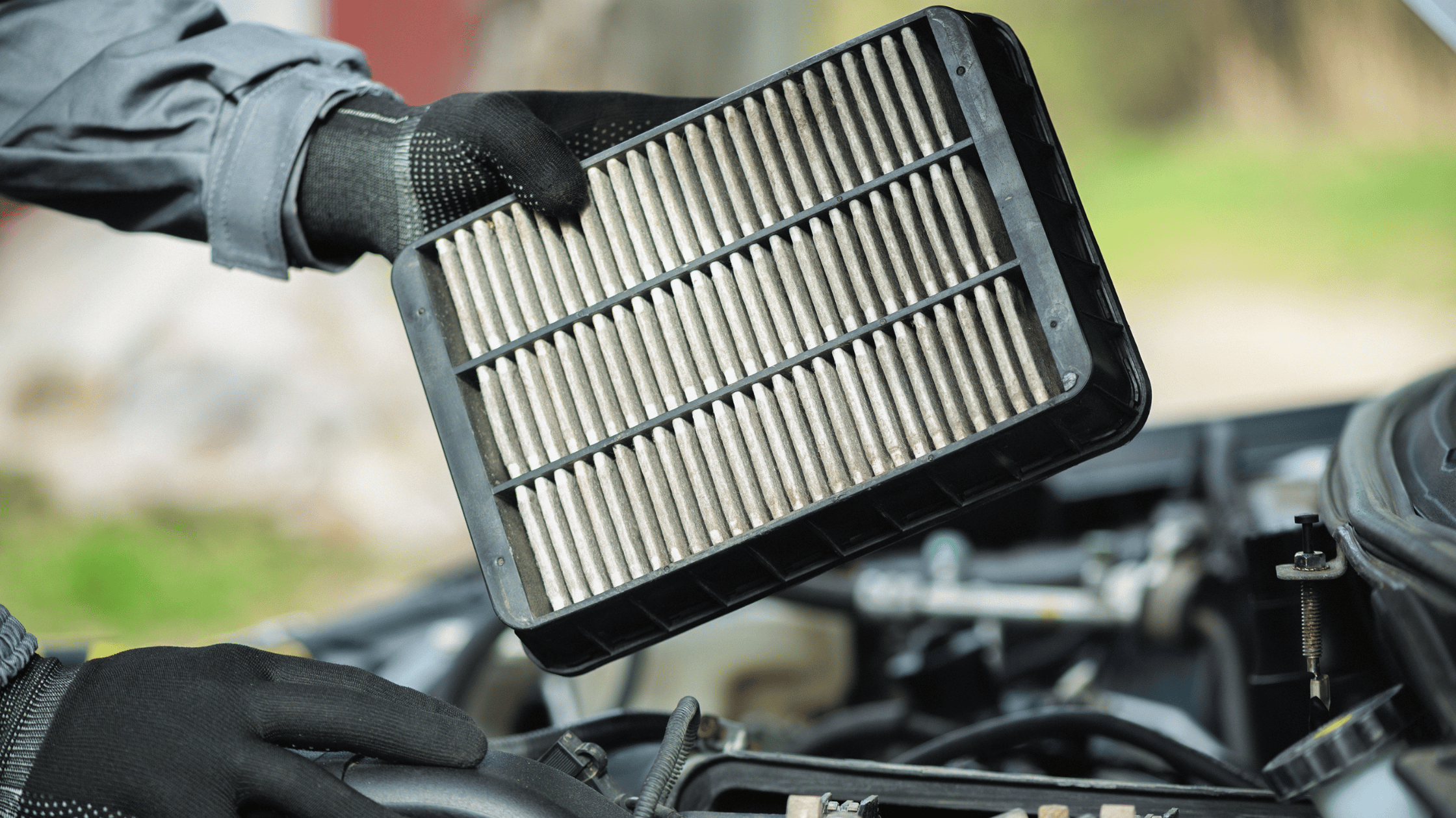 Best Budget-Friendly Car Air Purifiers for Clean Driving