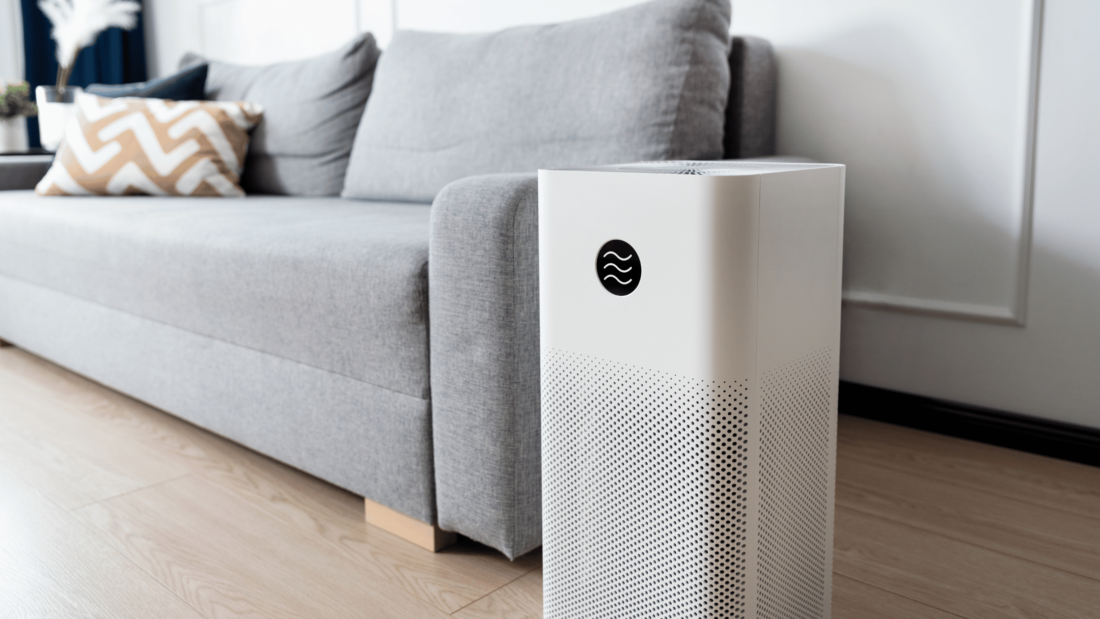 How to Choose the Best Small Air Purifier for a One-Person Space