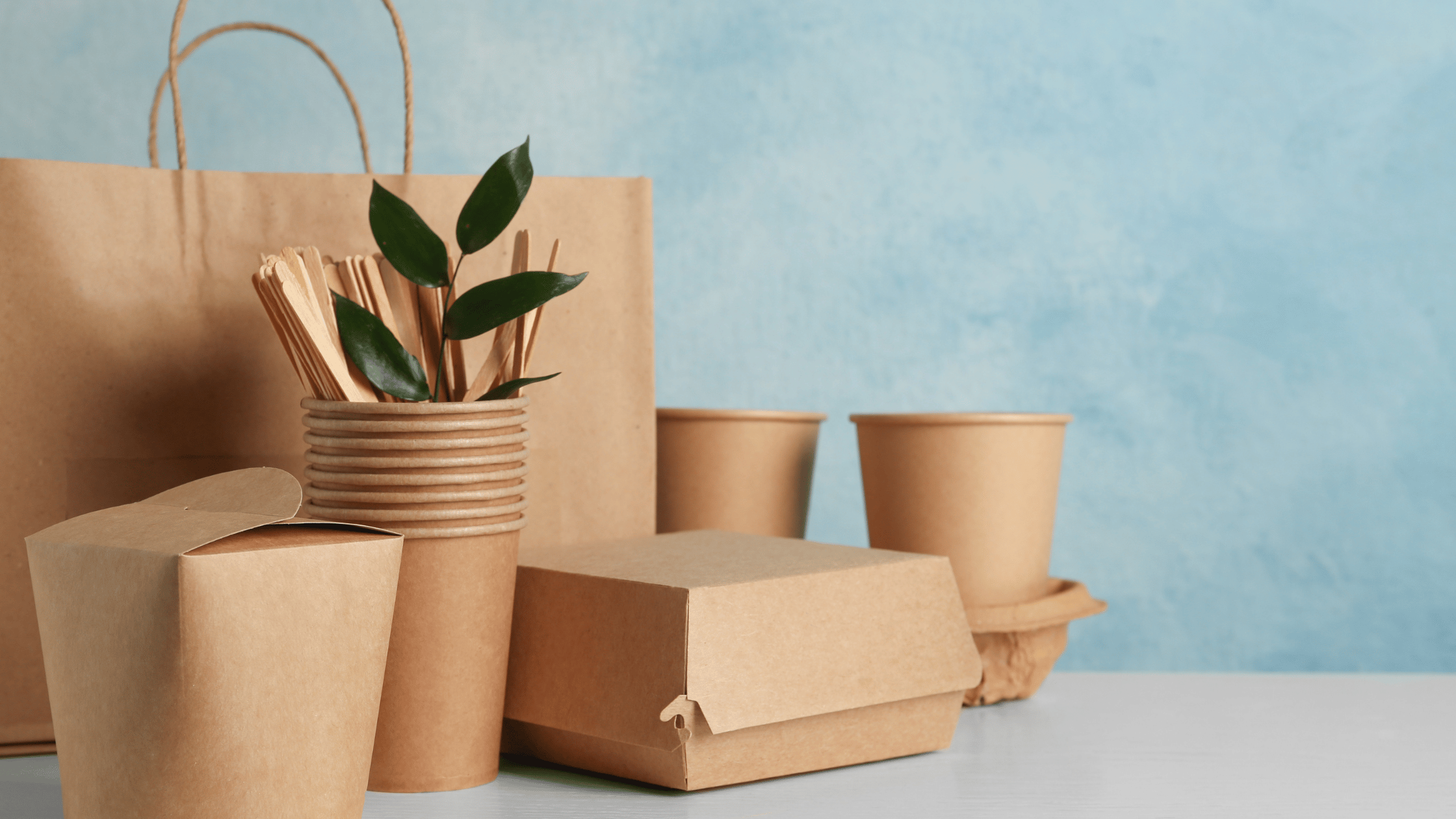 Eco-Friendly Fruit Boxes: The Future of Sustainable Farming Packaging